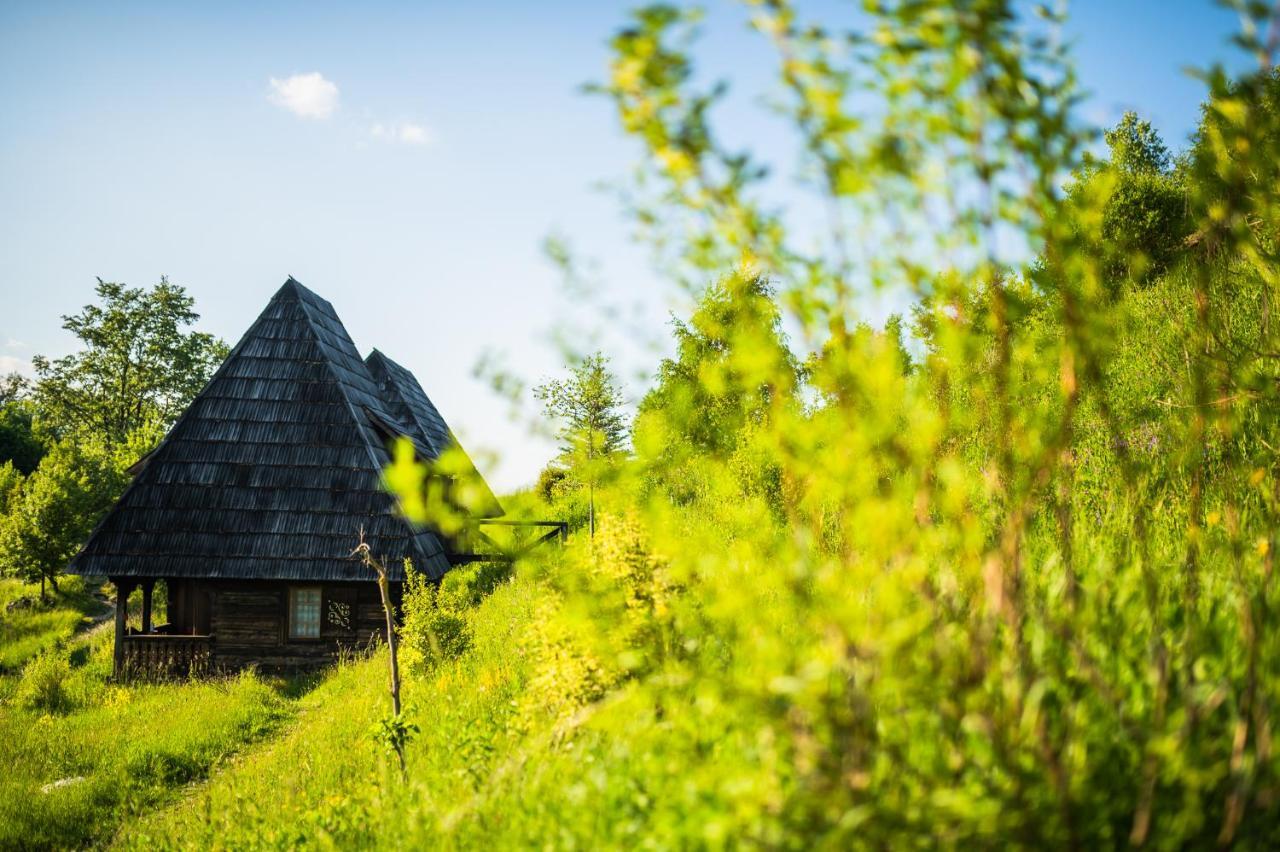 Raven'S Nest - The Hidden Village, Transylvania - Romania Sub Piatra Exterior photo